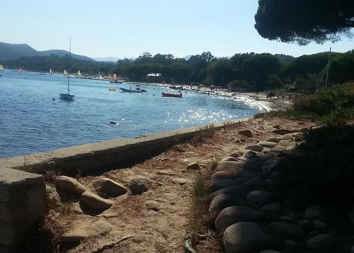 Un Oasi Nel * Vaccili