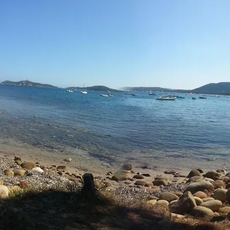 Un Oasi Nel * Vaccili