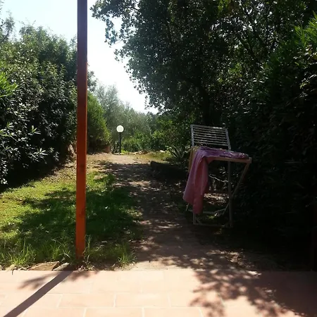 Un Oasi Nel *