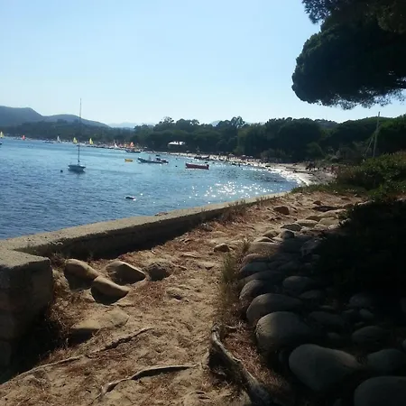 Un Oasi Nel * Vaccili