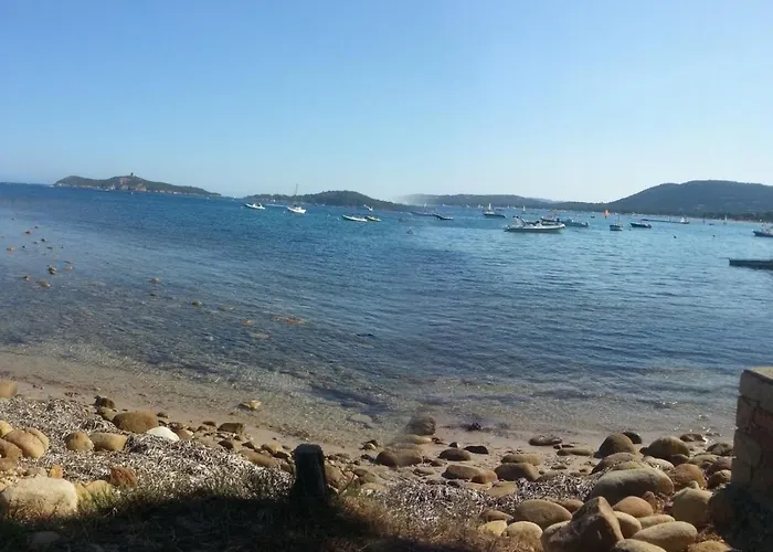 Un Oasi Nel * Vaccili